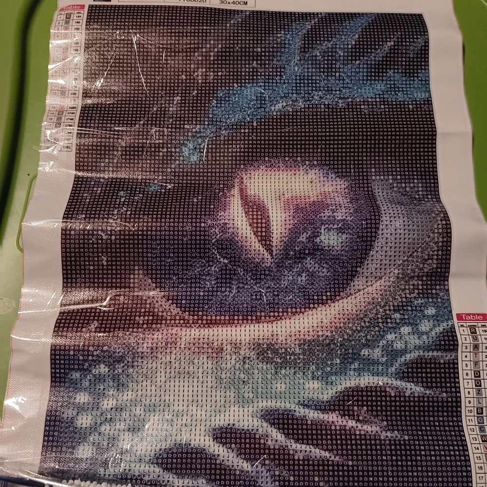 Mystical Dragon Eye Diamond Art Painting Kit 30x40